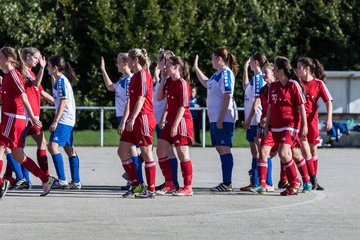 Bild 26 - Frauen SV Wahlstedt - Bramstedter TS : Ergebnis: 12:0